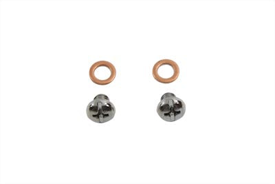V-Twin Fork Drain Screws - 24-0011