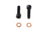 V-Twin Fork Damper Tube Screw and Washer - 24-0787