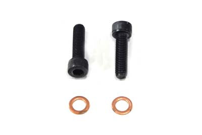 V-Twin Fork Damper Tube Screw and Washer - 24-0787