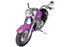 V-Twin Fork Assembly with Polished Sliders - 24-2019