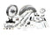 V-Twin Fork Assembly with Chrome Sliders - 24-2022