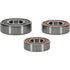 PIVOT WORKS Wheel Bearing Kit Premium - 22-51056P