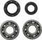 VINTCO Main Bearing and Seal Kit - Honda KMB002