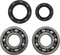 VINTCO Main Bearing and Seal Kit - Honda KMB006