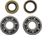VINTCO Main Bearing and Seal Kit - Kawasaki KMB010