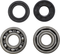 VINTCO Main Bearing and Seal Kit - Maico KMB027