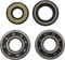 VINTCO Main Bearing and Seal Kit - Honda KMB004