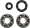 VINTCO Main Bearing and Seal Kit - Honda KMB032