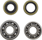 VINTCO Main Bearing and Seal Kit - Kawasaki KMB007