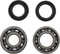 VINTCO Main Bearing and Seal Kit - Yamaha KMB023