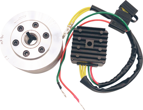 RICK'S MOTORSPORT ELECTRIC Charging Kit - Honda 99-111