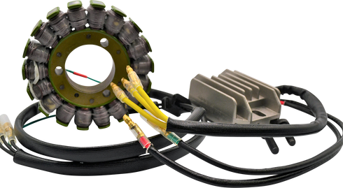RICK'S MOTORSPORT ELECTRIC Charging Kit - Hot Shot - Kawasaki 14-99-201H