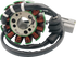 RICK'S MOTORSPORT ELECTRIC Stator - Yamaha 21-430