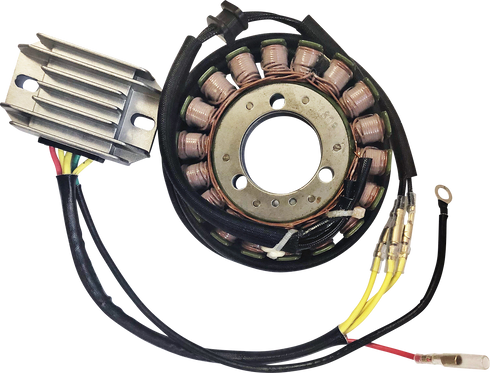 RICK'S MOTORSPORT ELECTRIC Charging Kit - Kawasaki 99-200H