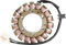 RICK'S MOTORSPORT ELECTRIC Stator - Honda 21-154