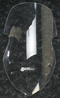 ZERO GRAVITY Sport Windscreen - Clear - NC700X 23-465-41