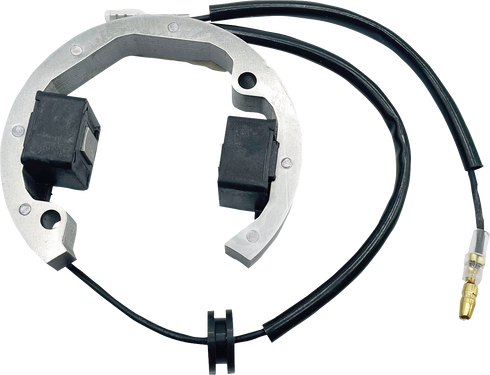 RICK'S MOTORSPORT ELECTRIC Stator - Husqvarna/KTM 21-0093