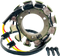 RICK'S MOTORSPORT ELECTRIC Stator - Kawasaki 21-729