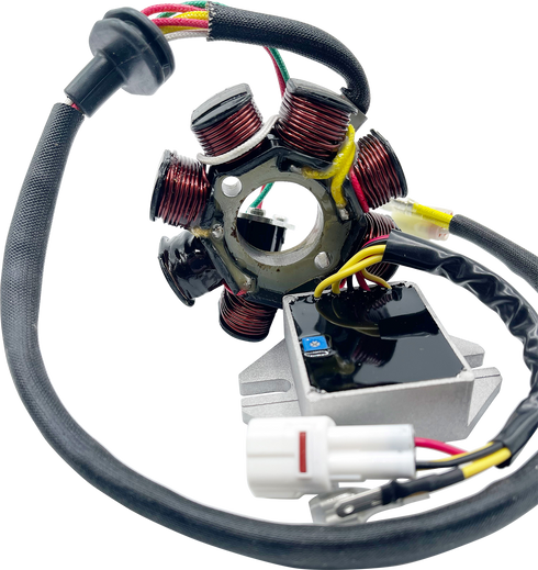 RICK'S MOTORSPORT ELECTRIC Lithium-Ion Compatible Charging Kit - Husqvarna/KTM 14-99-900H