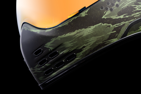 ICON Domain* Helmet - Tiger's Blood - Green - XL 0101-14927