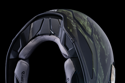 ICON Domain* Helmet - Tiger's Blood - Green - Large 0101-14926