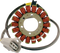 RICK'S MOTORSPORT ELECTRIC Hot Shot Stator - KTM 21-0094H