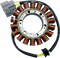 RICK'S MOTORSPORT ELECTRIC OE Style Stator - Ducati 21-041