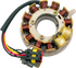 RICK'S MOTORSPORT ELECTRIC OE Style Stator - Ski-Doo 24-113