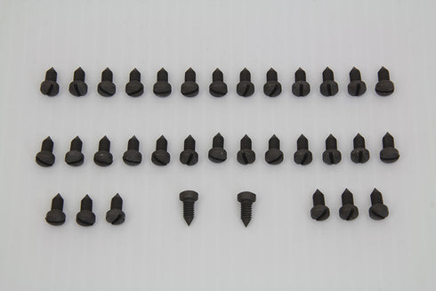 Colony Rocker Arm Cover Screw Kit Parkerized - 2955-34