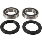 PIVOT WORKS Rear Wheel Bearing Kit - 52-0580