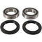 PIVOT WORKS Rear Wheel Bearing Kit - 52-0580