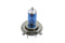 Wyatt Gatling Xenon Bulb - 33-1238