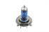 Wyatt Gatling Xenon Bulb - 33-1238