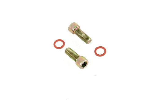 Colony Damper Fork Tube Screw and Washer Kit Zinc Plated - 3318-4