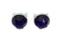 V-Twin Blue Reflector Set - 37-2103
