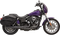 BASSANI XHAUST 2:1 Exhaust - Black - Megaphone - Long - '91-'05 FXD 13321R
