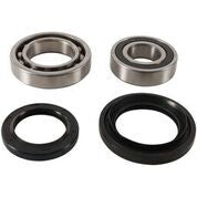 PIVOT WORKS Rear Wheel Bearing Kit - 52-0661