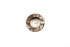 V-Twin Inner Primary Cap Raw Steel - 42-1221