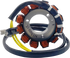 RICK'S MOTORSPORT ELECTRIC Hot Shot Stator - KTM/Gas Gas/Husqvarna 21-0091H