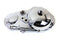Motorshop Factory Sample Primary Cover Chrome - 43-0961