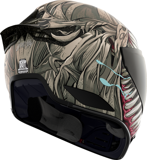 ICON Domain* Helmet - Grand Maw - Gray - Small 010117295
