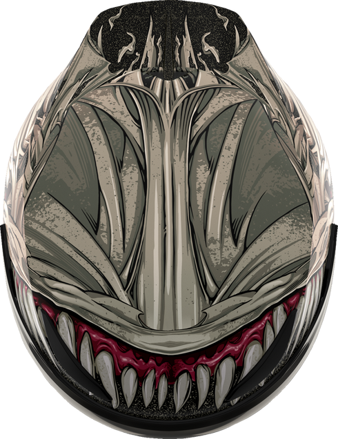 ICON Domain* Helmet - Grand Maw - Gray - 2XL 010117299