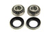 V-Twin Wheel Hub Bearing Race Seal Kit - 44-0416