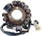 RICK'S MOTORSPORT ELECTRIC Stator - Hot Shot - Yamaha 21-932H