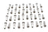V-Twin Spoke 40 Piece Chrome Nipple Set - 45-0781