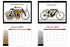 V-Twin 2019 Motorcyclepedia Museum Calendar - 48-0199