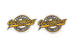 V-Twin Gary Bang Patch Set - 48-0743