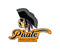 V-Twin Pirate Brand Patch - 48-1399