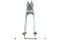 V-Twin Factory Sample 28 inch Tedd Narrow Spring Fork Assembly Chro - 49-2463