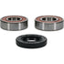 PIVOT WORKS Wheel Bearing Kit Premium - 22-51112P